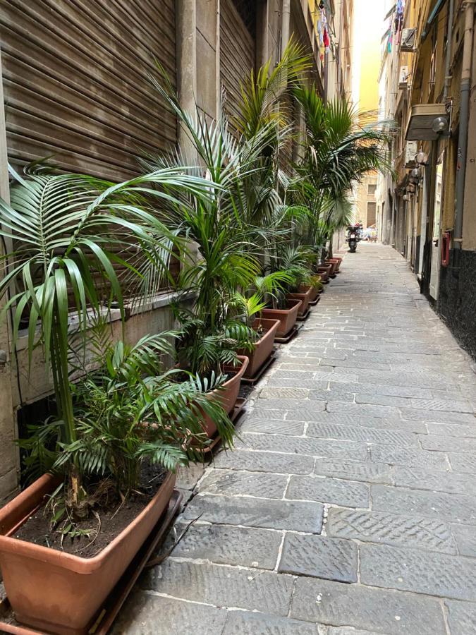 Veronese 3* Genua